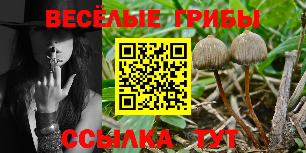 Псилоцибиновые грибы ЛСД  Галлюциногенные грибы Psilocybe  Междуреченск  Вход с VPN 