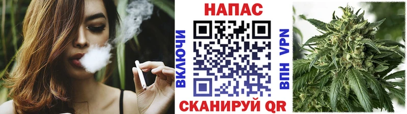 Бошки Шишки SATIVA & INDICA  купить наркотики цена  Междуреченск 